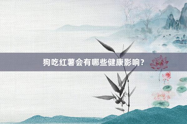 狗吃红薯会有哪些健康影响？